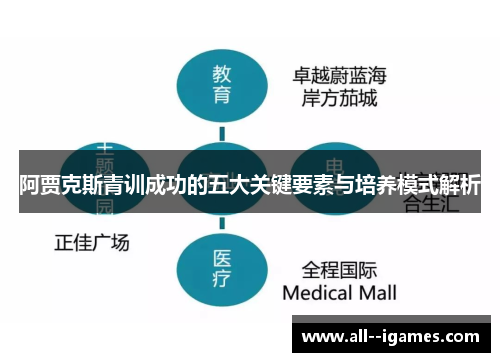 阿贾克斯青训成功的五大关键要素与培养模式解析 阿贾克斯青训成功的五大关键要素与培养模式解析